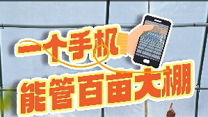 百姓看聯播丨在雄安，一個手機能管百畝大棚